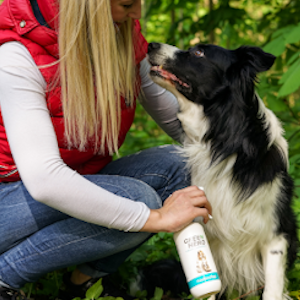 Pet care application.