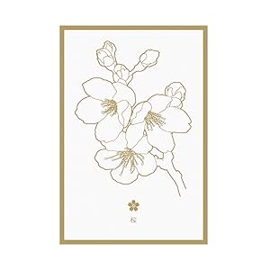 Amazon | 花色鉛筆ポストカード 花色鉛筆 ポストカード TRINUS 5