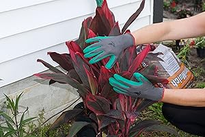 Tool Workglove Dig Chop Prune Cut Yard Lawn Garden Tree Shrub Plant Flower Vegetable Spring Summer