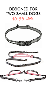 Double Dog Leash for Small Dogs