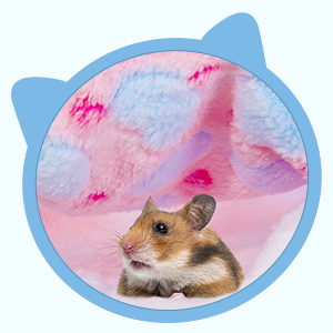 Sweetude 6 Pcs Rat Hammock Set Ferret Hanging Tunnel 3 Tier Guinea Pig Hammocks Hideout Soft Chinchilla Bed for Cage Accessories Hide,Play and Sleep(Cute,Heart) 12 B0C3CYCCZS 3