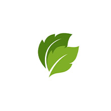 stevia leaves vistevia jam