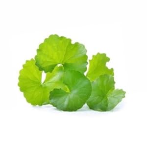 Small manufacture image 6