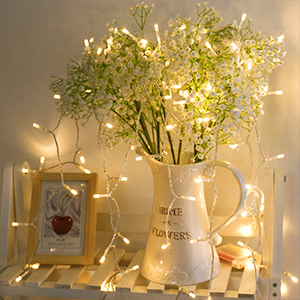 warm white string fairy lights