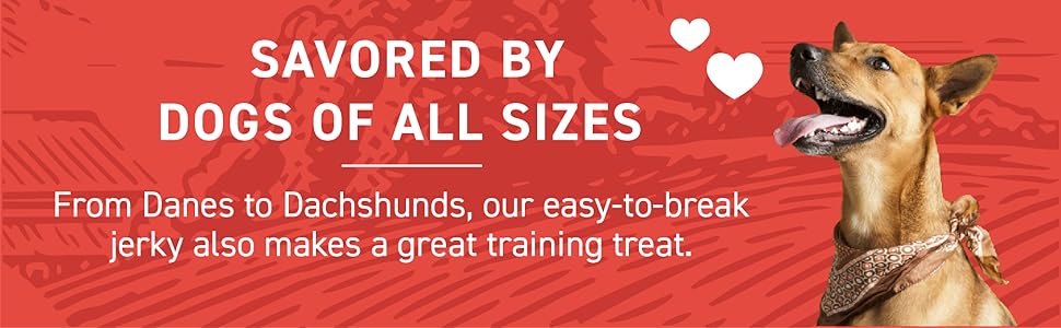 dog treat food puppy chicken free jerky grain wellness large usa beef natural made chew training