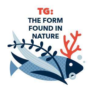 TG fish oil 