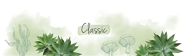 Canela de Ceylán Vegavero® | 2000 mg | Control de Glucosa | 120 Cápsulas 1 f