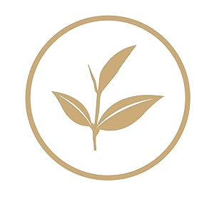 tea bud and leaf organic no artificial flavour low fat natural vegetarian weight loss tea healthy