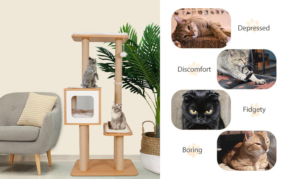 Nova Microdermabrasion Modern Cat Tree Wooden Cat Tree Cat