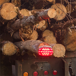 LOGGING LIGHT