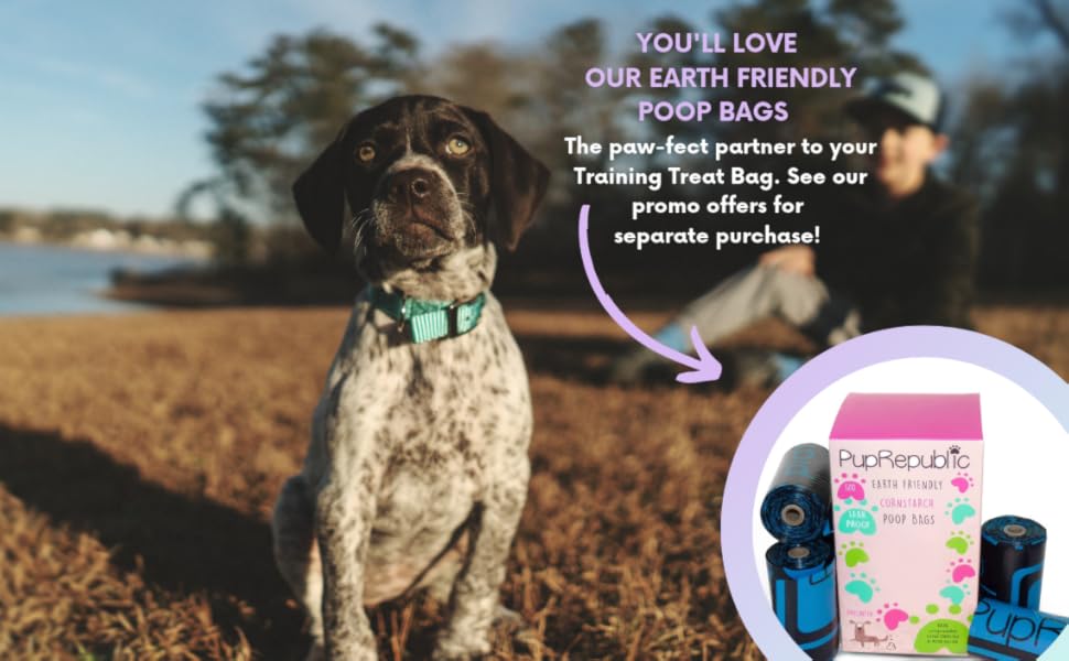  Dogtreatbag,allinonedogbag,trainingdogbag,dogtrainingbag,dogwalkingbag,poopbagholder 