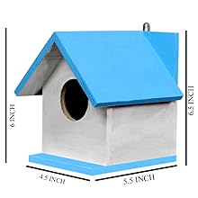 6.7x4.6x5 Inch Bird House