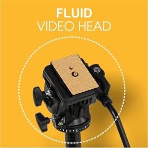 Fluid Tripod Head