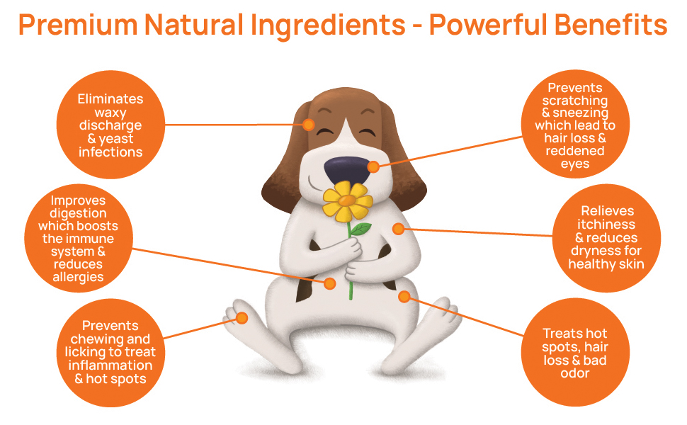 Dog Allergy Relief Dog Allergy Chews Itch Relief for Dogs Anti Itch for Dogs