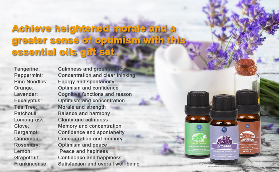 Essential Oils Gift Set 16 Pack