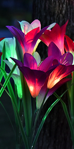 Solar Lily Lights