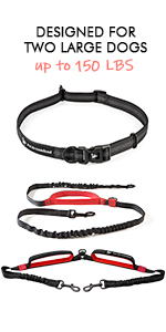 Double Dog Leash for Large Dogs
