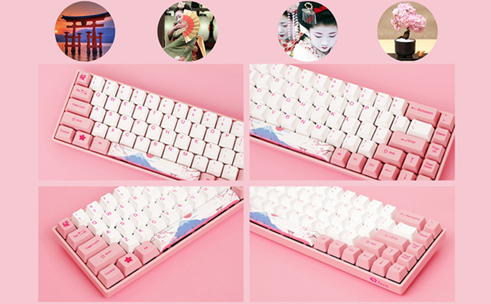 Akko cs switch. Akko v3 cream yellow. Akko cs wine white. Akko 5075s. Клавиатура akko 3108.