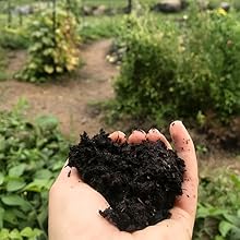 sunscreen, baby, spf, safe, clear, zinc, mineral, sunblock, skin, care, kids, newborn, organic