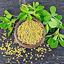 Fenugreek
