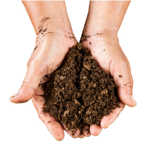 Organic manure cocopeat