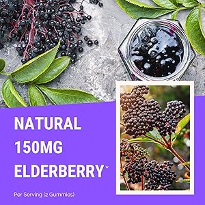 best elderberry gummies supplement for adults and kids vitamin c zinc vitamins for adults immune