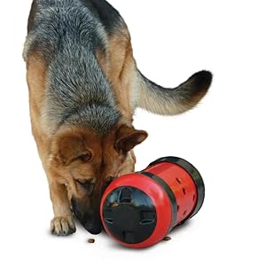 pipolino xl red and black dog