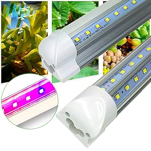 6cce12fc-2ef7-4bb2-8537-