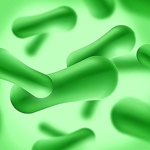 Probiotic womens prebiotic female probiotics yeast PH loss