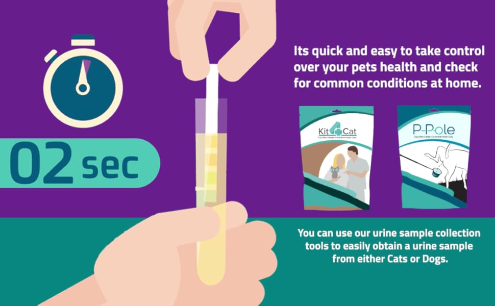 CheckUp Testing Strips x 50 (Blood in The Urine Test