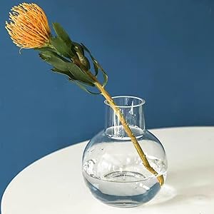 丸くて大きいガラスの花瓶 Amazon.co.jp: 丸型 ガラス 花瓶 21cm ヨーロピアンスタイル
