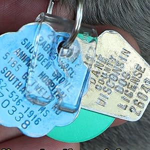 kwik clip