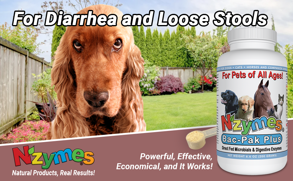 Nzymes BacPak Plus 200 grams Digestive Enzymes and