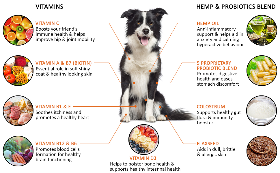Amazon Com 15 In 1 Dog Vitamins Chewable Multivitamins For Dogs With Probiotics Hemp And Omega Hip Joint Supplements Immune Support And Healthy Dog Skin 120 Soft Chews Treats By