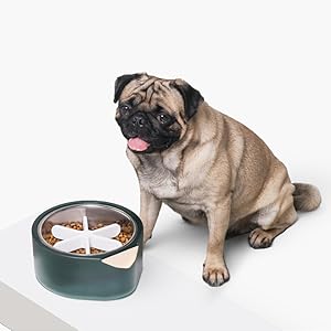 Slow Feeding Pet Bowl