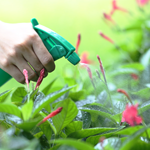 watering spray bottle