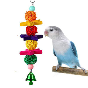 Vogelspielzeug, Nymphensittichspielzeug, Spielzeugvögel, Spielzeugpapagei.