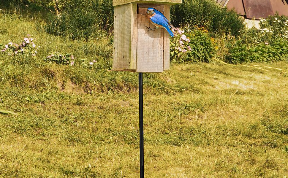 Amazon.co.jp バードフィーダーポール,取り付けプラットフォーム付き 39 インチ バード ハウス リムーバブル ポール 屋外