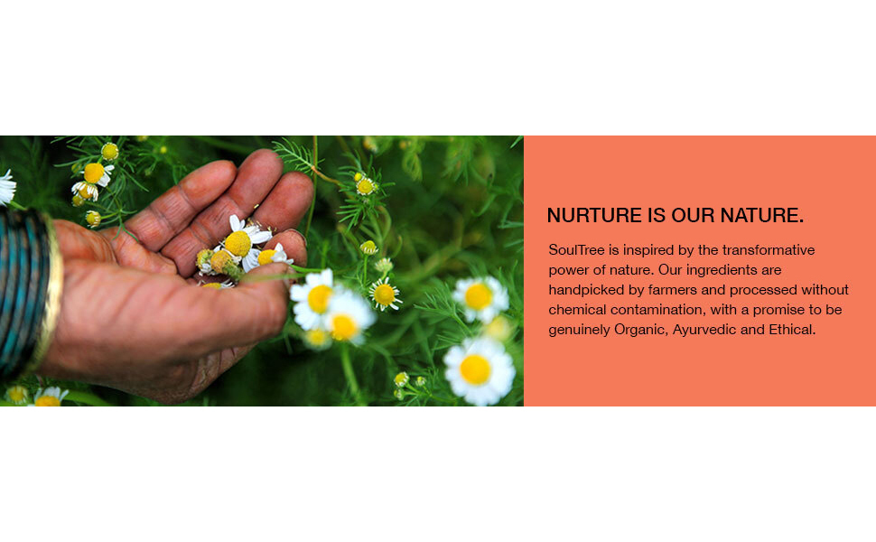 Nurture-nature-organic-oil