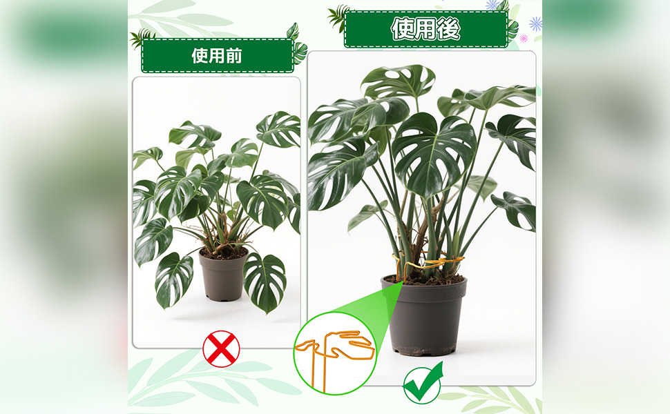 Amazon | Neiang モンステラ 支柱 1本 観葉植物 支柱 モンステ