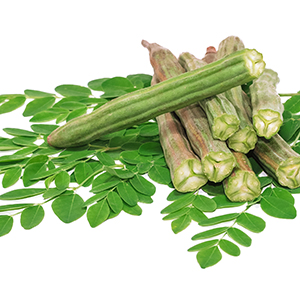 Moringa