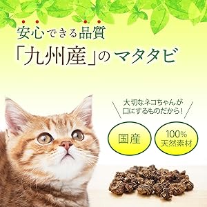 J　マタタビの実　虫コブ　1キロ2袋 マタタビの実 1kg×2個 またたびの実 乾燥 虫えい果 虫こぶ