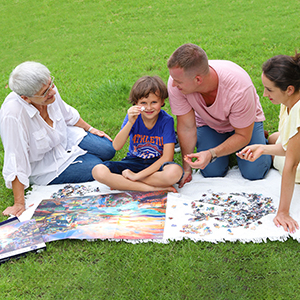 1000 piece jigsaw puzzle for adults and teens