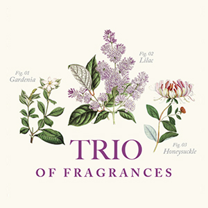 gardenia hand soap gardenia bar soap gardenia soap white gardenia soap