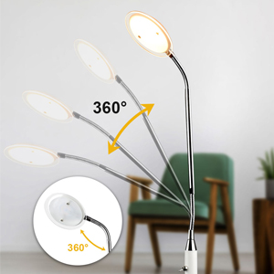 Adjustable light head