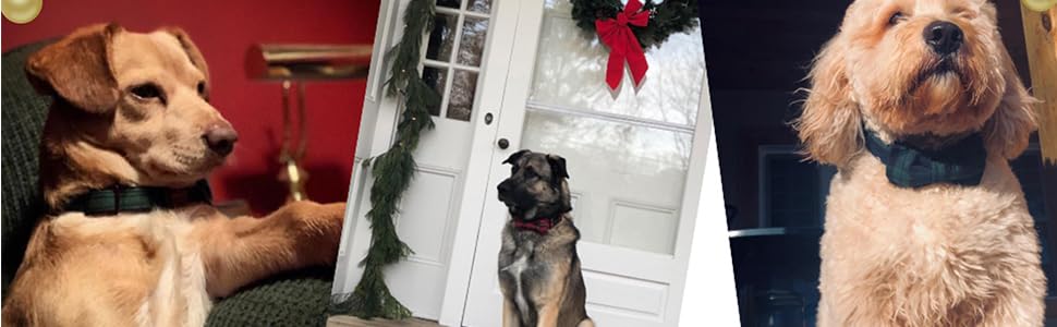 Unique style paws Dog Collar with Detachable Bow tie, Adjustable Dog Collars with Bow for Small Medium Large Dogs or Cats XXS-XL 21