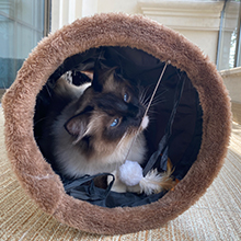 Small manufacture image 3