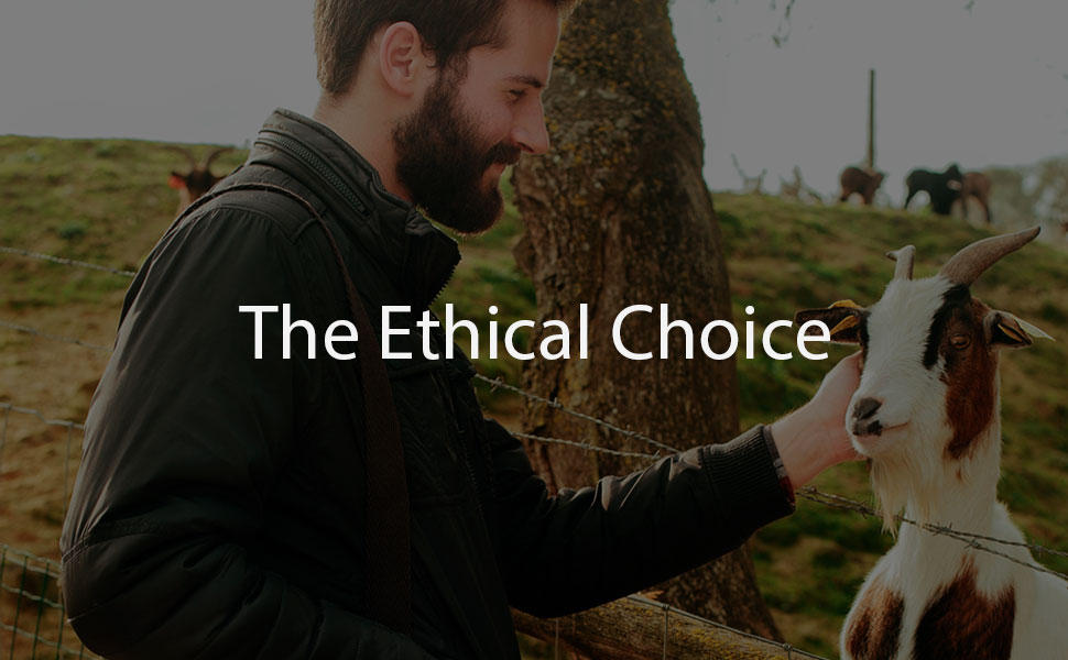 Ethical choice