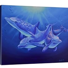 dolphin magic canvas staging