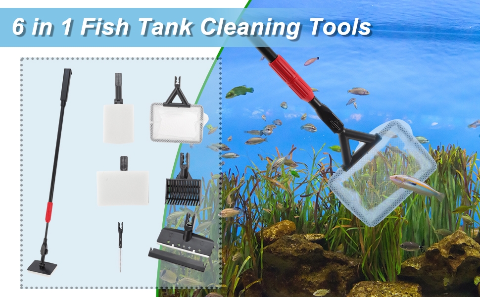 Standard Image Header With Text
